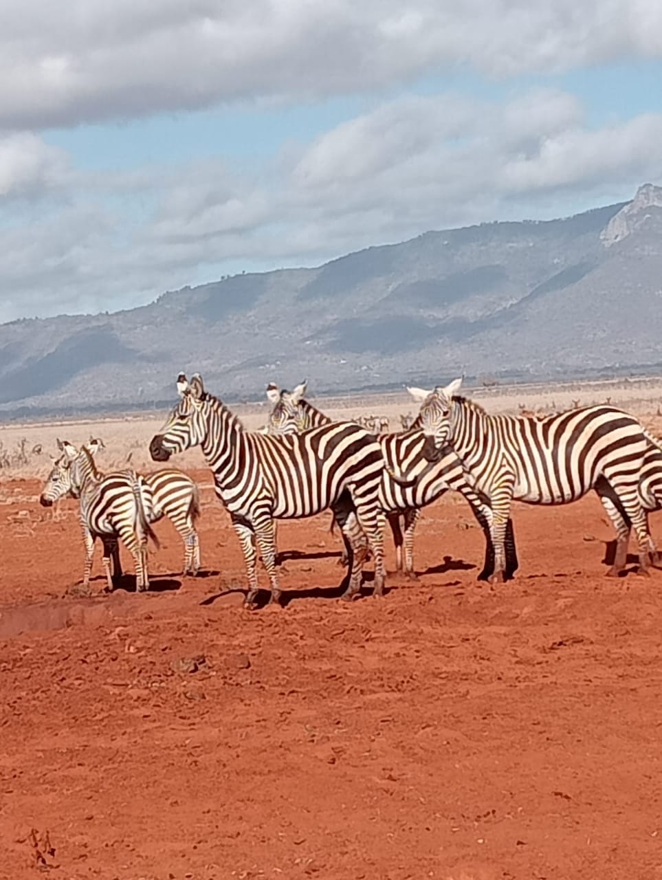 2 Days Tsavo East
