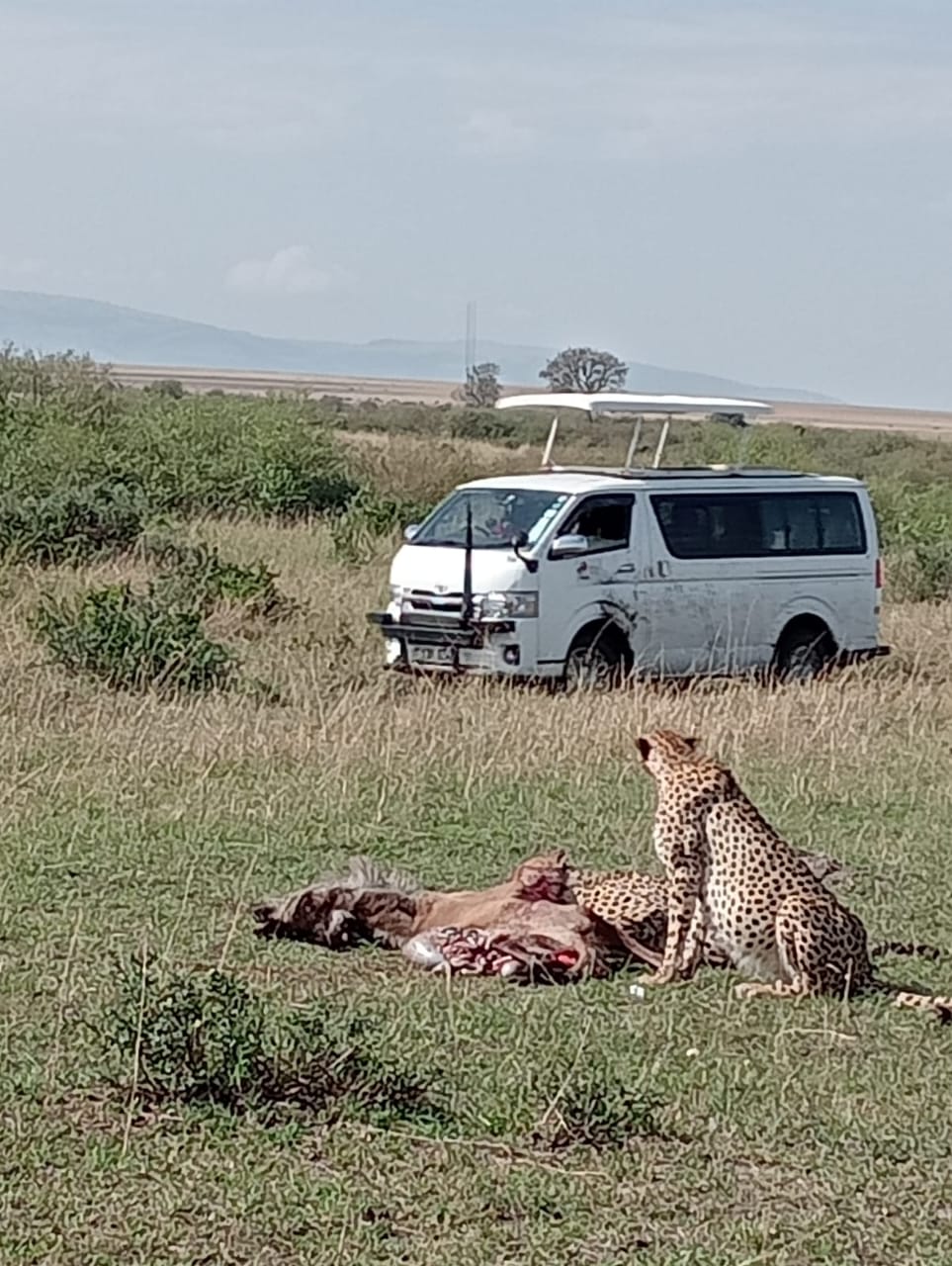 3 Days Tsavo East & Amboseli